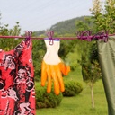 Portable Clothing clothesline with 12 clips