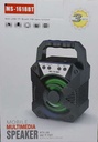 BT 1618 speaker